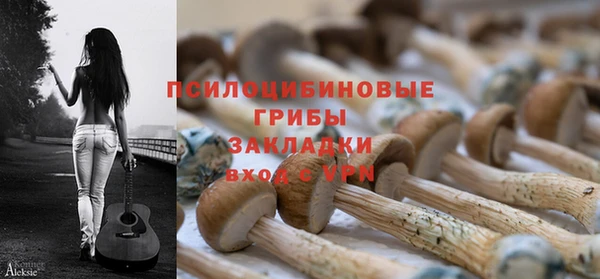 гидра Абаза