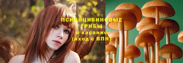 ECSTASY Алзамай