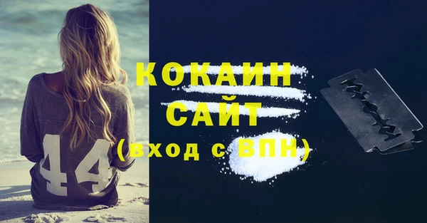 ECSTASY Алзамай