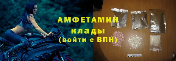 ECSTASY Алзамай