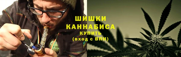 гидра Абаза