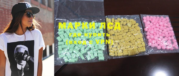 ECSTASY Алзамай