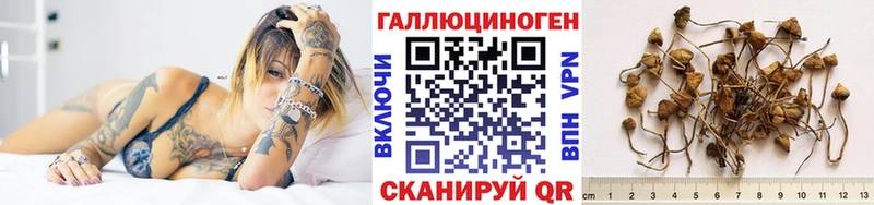 хочу   Омск  Галлюциногенные грибы GOLDEN TEACHER 